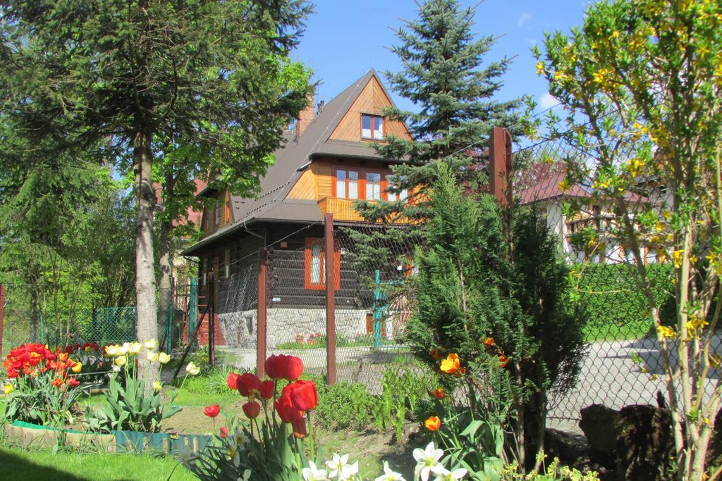 Bed and Breakfast Willa Dewajtis Zakopane Exteriér fotografie