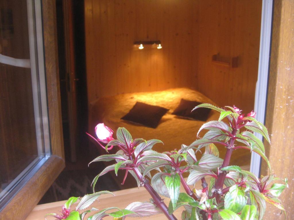 Bed and Breakfast Willa Dewajtis Zakopane Pokoj fotografie