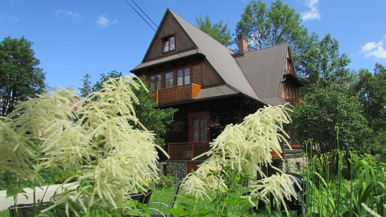 Bed and Breakfast Willa Dewajtis Zakopane Exteriér fotografie